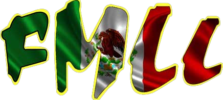 LUCHA LIBRE MEXICANA VOL 1 Los GLADIADORES DEL RING LLWF FMLL